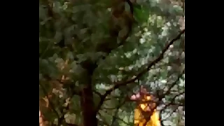 Aunty sarri modifying after pee